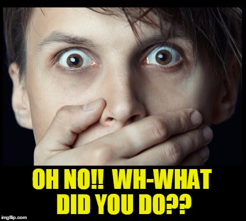 oh my | OH NO!!  WH-WHAT DID YOU DO?? | image tagged in oh my | made w/ Imgflip meme maker