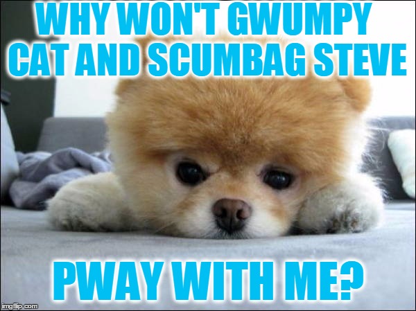 Adorable | WHY WON'T GWUMPY CAT AND SCUMBAG STEVE; PWAY WITH ME? | image tagged in adorable | made w/ Imgflip meme maker