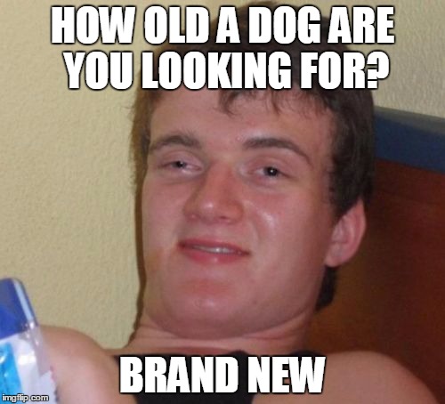 10 Guy Meme | HOW OLD A DOG ARE YOU LOOKING FOR? BRAND NEW | image tagged in memes,10 guy,AdviceAnimals | made w/ Imgflip meme maker