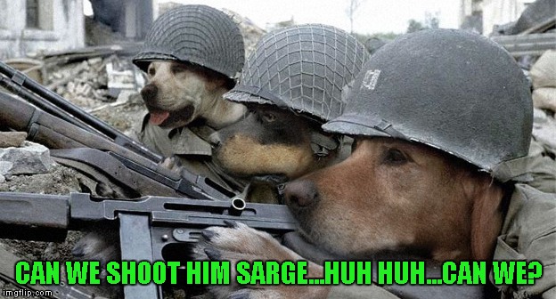 CAN WE SHOOT HIM SARGE...HUH HUH...CAN WE? | made w/ Imgflip meme maker