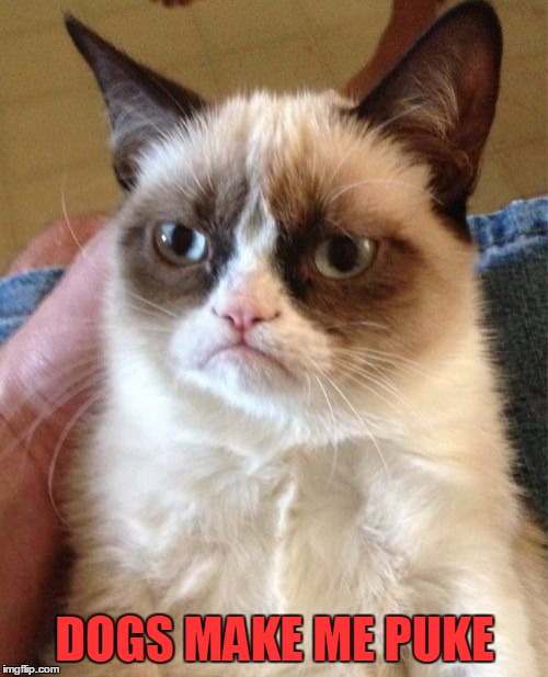 Grumpy Cat Meme | DOGS MAKE ME PUKE | image tagged in memes,grumpy cat | made w/ Imgflip meme maker