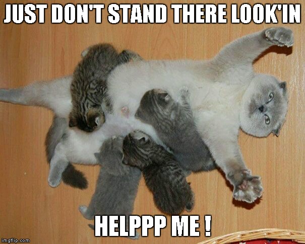 JUST DON'T STAND THERE LOOK'IN; HELPPP ME ! | image tagged in help me | made w/ Imgflip meme maker