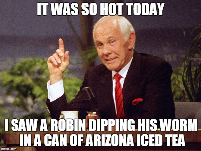 How hot was it? | IT WAS SO HOT TODAY; I SAW A ROBIN DIPPING HIS WORM IN A CAN OF ARIZONA ICED TEA | image tagged in johnny carson | made w/ Imgflip meme maker