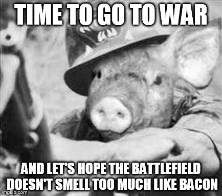 TIME TO GO TO WAR; AND LET'S HOPE THE BATTLEFIELD DOESN'T SMELL TOO MUCH LIKE BACON | image tagged in war pigs,war,pig,pigs,pigs of war,let slip the pigs of war | made w/ Imgflip meme maker