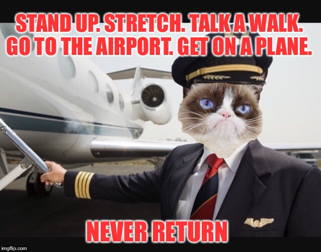 Grumpy cat's life lessons - tip # 3 | STAND UP. STRETCH. TALK A WALK. GO TO THE AIRPORT. GET ON A PLANE. NEVER RETURN | image tagged in grumpy cat,memes,airplane,life lessons | made w/ Imgflip meme maker