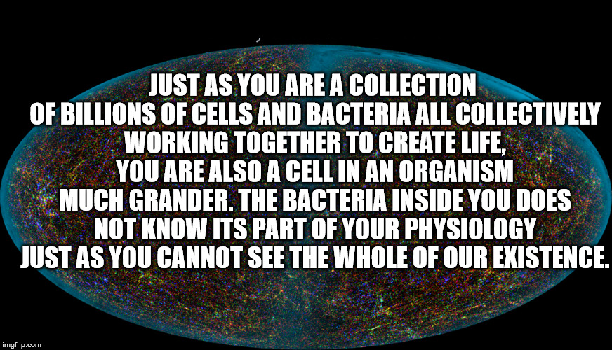 You're a cell  | JUST AS YOU ARE A COLLECTION OF BILLIONS OF CELLS AND BACTERIA ALL COLLECTIVELY WORKING TOGETHER TO CREATE LIFE, YOU ARE ALSO A CELL IN AN ORGANISM MUCH GRANDER. THE BACTERIA INSIDE YOU DOES NOT KNOW ITS PART OF YOUR PHYSIOLOGY JUST AS YOU CANNOT SEE THE WHOLE OF OUR EXISTENCE. | image tagged in memes,funny memes,universe,real life,vegan4life | made w/ Imgflip meme maker