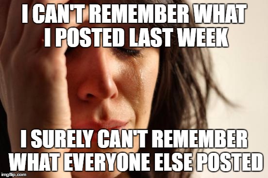 First World Problems Meme | I CAN'T REMEMBER WHAT I POSTED LAST WEEK I SURELY CAN'T REMEMBER WHAT EVERYONE ELSE POSTED | image tagged in memes,first world problems | made w/ Imgflip meme maker