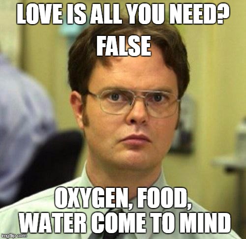 ... and shelter and clothing and an income and... | LOVE IS ALL YOU NEED? FALSE; OXYGEN, FOOD, WATER COME TO MIND | image tagged in false,memes,love is love | made w/ Imgflip meme maker