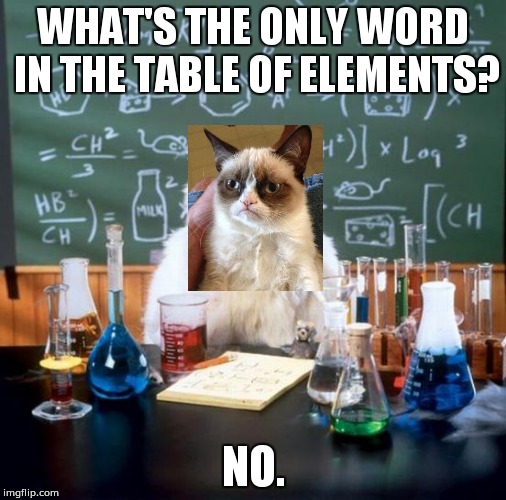 Table of Elements | WHAT'S THE ONLY WORD IN THE TABLE OF ELEMENTS? NO. | image tagged in memes,chemistry cat | made w/ Imgflip meme maker