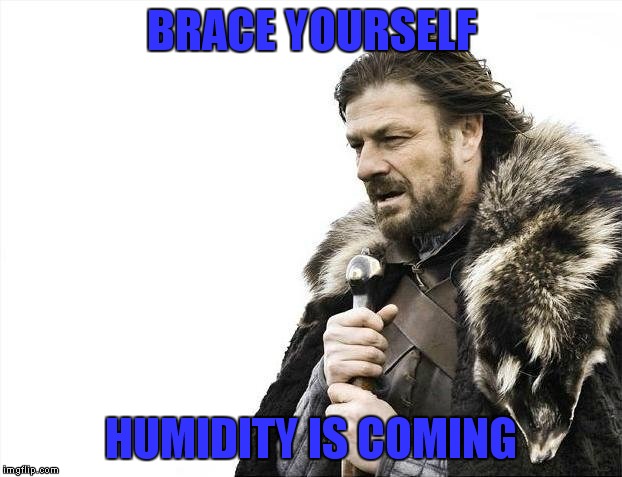 Brace Yourselves X is Coming Meme | BRACE YOURSELF HUMIDITY IS COMING | image tagged in memes,brace yourselves x is coming | made w/ Imgflip meme maker