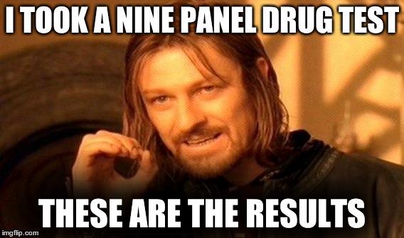 One does not simply accuse a custodial father of having substance abuse issues. | I TOOK A NINE PANEL DRUG TEST; THESE ARE THE RESULTS | image tagged in memes,one does not simply,drug test,drugs | made w/ Imgflip meme maker