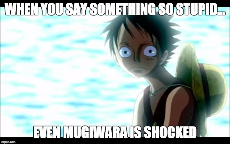 WHEN YOU SAY SOMETHING SO STUPID... EVEN MUGIWARA IS SHOCKED | image tagged in luffy_shock | made w/ Imgflip meme maker