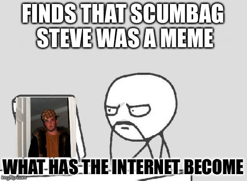 Computer Guy Meme | FINDS THAT SCUMBAG STEVE WAS A MEME; WHAT HAS THE INTERNET BECOME | image tagged in memes,computer guy | made w/ Imgflip meme maker