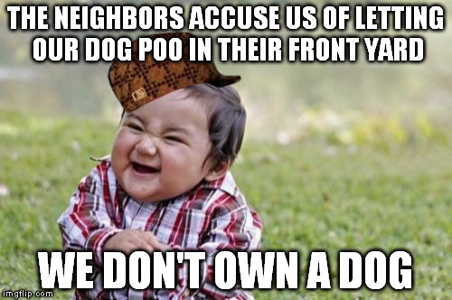 Evil Toddler Meme | THE NEIGHBORS ACCUSE US OF LETTING OUR DOG POO IN THEIR FRONT YARD; WE DON'T OWN A DOG | image tagged in memes,evil toddler,scumbag | made w/ Imgflip meme maker