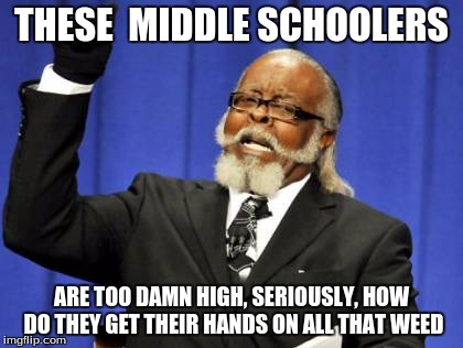 Too Damn High | THESE  MIDDLE SCHOOLERS; ARE TOO DAMN HIGH, SERIOUSLY, HOW DO THEY GET THEIR HANDS ON ALL THAT WEED | image tagged in memes,too damn high | made w/ Imgflip meme maker