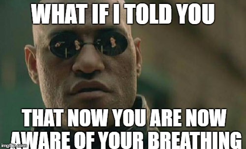 Matrix Morpheus Meme | WHAT IF I TOLD YOU; THAT NOW YOU ARE NOW AWARE OF YOUR BREATHING | image tagged in memes,matrix morpheus | made w/ Imgflip meme maker