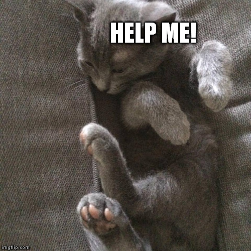This happened with my kitten. | HELP ME! | image tagged in cats,couch | made w/ Imgflip meme maker