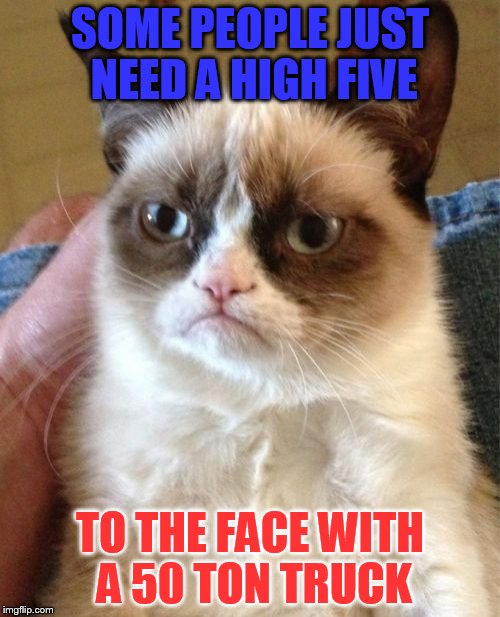 Grumpy Cat |  SOME PEOPLE JUST NEED A HIGH FIVE; TO THE FACE WITH A 50 TON TRUCK | image tagged in memes,grumpy cat | made w/ Imgflip meme maker