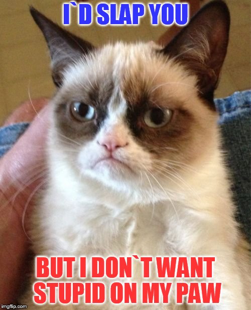 Grumpy Cat |  I`D SLAP YOU; BUT I DON`T WANT STUPID ON MY PAW | image tagged in memes,grumpy cat | made w/ Imgflip meme maker