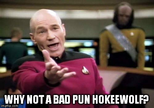 Picard Wtf Meme | WHY NOT A BAD PUN HOKEEWOLF? | image tagged in memes,picard wtf | made w/ Imgflip meme maker
