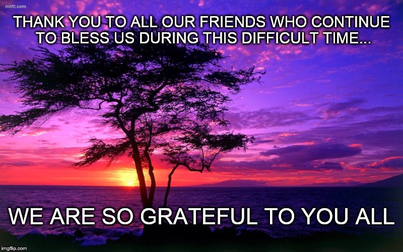 Grateful for Your Support | THANK YOU TO ALL OUR FRIENDS WHO CONTINUE TO BLESS US DURING THIS DIFFICULT TIME... WE ARE SO GRATEFUL TO YOU ALL | image tagged in thank you,memes,quotes,grateful,sympathy,friends | made w/ Imgflip meme maker