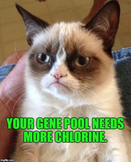 Grumpy Cat | YOUR GENE POOL NEEDS MORE CHLORINE. | image tagged in memes,grumpy cat,funny memes,dark humor | made w/ Imgflip meme maker