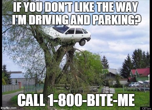 Secure Parking Meme | IF YOU DON'T LIKE THE WAY I'M DRIVING AND PARKING? CALL 1-800-BITE-ME | image tagged in memes,secure parking | made w/ Imgflip meme maker