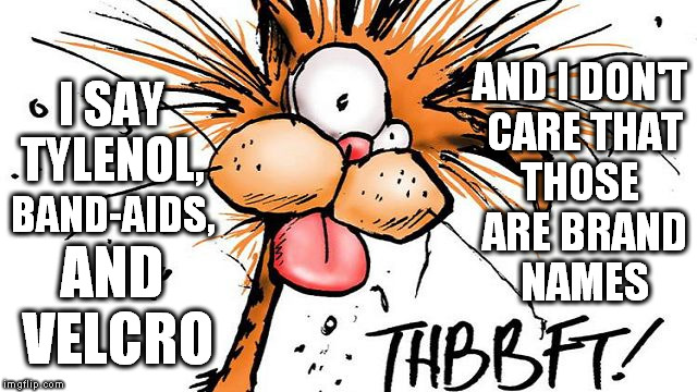 Bill the Cat THBBFT | I SAY TYLENOL, THOSE ARE BRAND NAMES AND VELCRO BAND-AIDS, AND I DON'T CARE THAT | image tagged in bill the cat thbbft | made w/ Imgflip meme maker