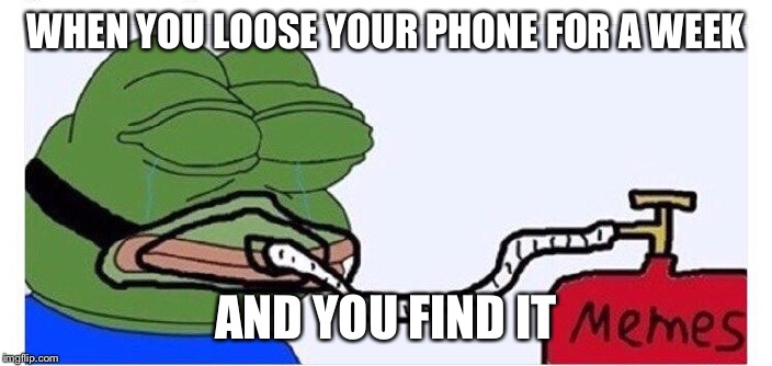 So relatable, it's scary.  | WHEN YOU LOOSE YOUR PHONE FOR A WEEK; AND YOU FIND IT | image tagged in pepe,pepe cry,pepe the frog,relatable,phone | made w/ Imgflip meme maker