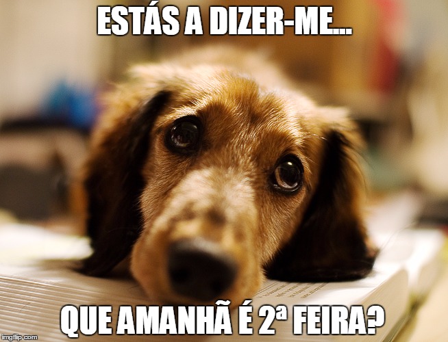 ESTÁS A DIZER-ME... QUE AMANHÃ É 2ª FEIRA? | made w/ Imgflip meme maker