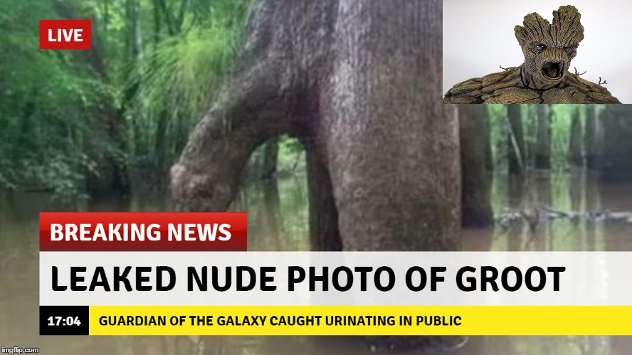 Groot Peeing in Public | image tagged in groot,guardians of the galaxy | made w/ Imgflip meme maker