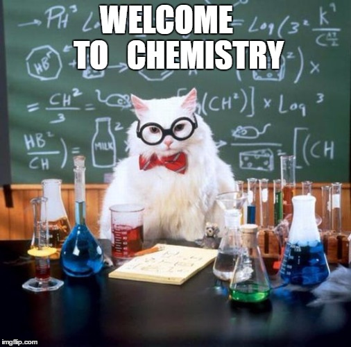 Chemistry Cat Meme | WELCOME    TO   CHEMISTRY | image tagged in memes,chemistry cat | made w/ Imgflip meme maker
