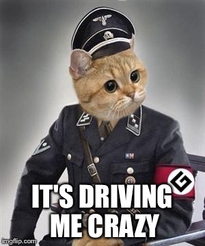 IT'S DRIVING ME CRAZY | made w/ Imgflip meme maker