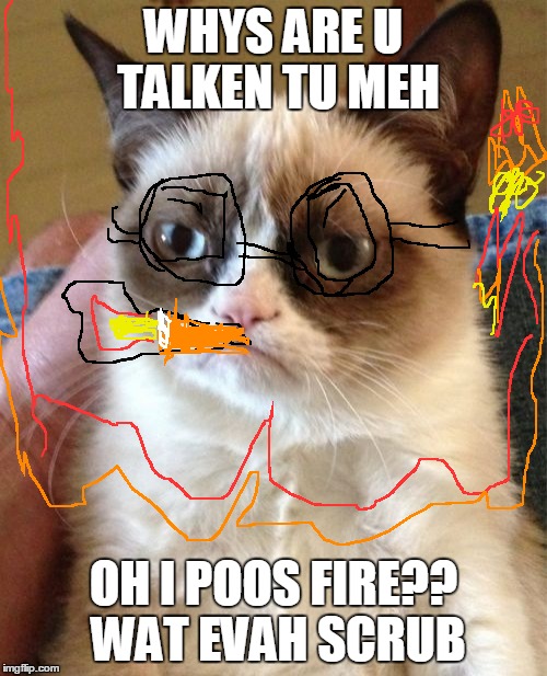 Grumpy Cat Meme | WHYS ARE U TALKEN TU MEH; OH I POOS FIRE?? WAT EVAH SCRUB | image tagged in memes,grumpy cat | made w/ Imgflip meme maker