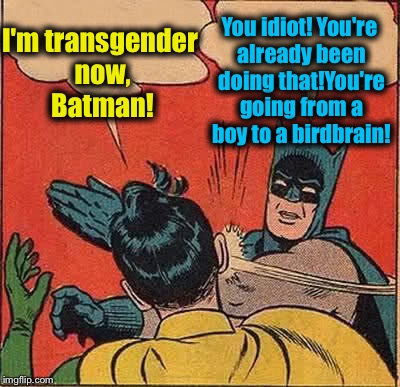 Batman Slapping Robin Meme | I'm transgender now, Batman! You idiot! You're already been doing that!You're going from a boy to a birdbrain! | image tagged in memes,batman slapping robin,evilmandoevil,funny | made w/ Imgflip meme maker