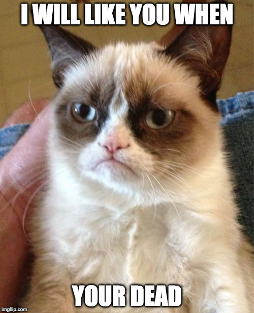 Grumpy Cat | I WILL LIKE YOU WHEN; YOUR DEAD | image tagged in memes,grumpy cat | made w/ Imgflip meme maker