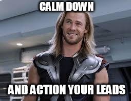 thor'd | CALM DOWN; AND ACTION YOUR LEADS | image tagged in thor'd | made w/ Imgflip meme maker