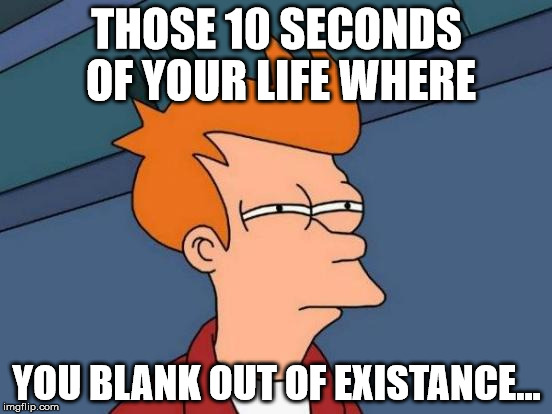 Futurama Fry Meme | THOSE 10 SECONDS OF YOUR LIFE WHERE; YOU BLANK OUT OF EXISTANCE... | image tagged in memes,futurama fry | made w/ Imgflip meme maker