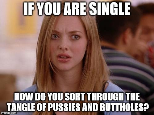 OMG Karen | IF YOU ARE SINGLE; HOW DO YOU SORT THROUGH THE TANGLE OF PUSSIES AND BUTTHOLES? | image tagged in memes,omg karen | made w/ Imgflip meme maker