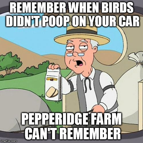 Pepperidge Farm Remembers Meme | REMEMBER WHEN BIRDS DIDN'T POOP ON YOUR CAR; PEPPERIDGE FARM CAN'T REMEMBER | image tagged in memes,pepperidge farm remembers | made w/ Imgflip meme maker