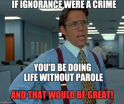 Insult of the day: August 22, 2016 | IF IGNORANCE WERE A CRIME; YOU'D BE DOING LIFE WITHOUT PAROLE; AND THAT WOULD BE GREAT! | image tagged in memes,that would be great,ignorance,insult of the day | made w/ Imgflip meme maker