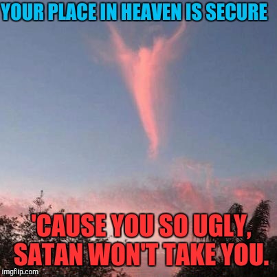 Insult of the day: August 23, 2016 | YOUR PLACE IN HEAVEN IS SECURE; 'CAUSE YOU SO UGLY, SATAN WON'T TAKE YOU. | image tagged in insult of the day,heaven,ugly,funny,meme | made w/ Imgflip meme maker