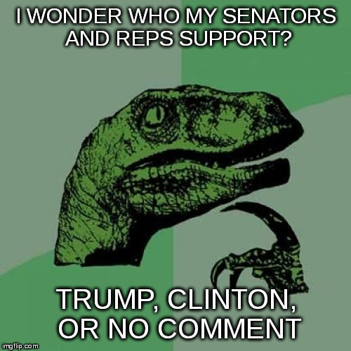 Philosoraptor Meme | I WONDER WHO MY SENATORS AND REPS SUPPORT? TRUMP, CLINTON, OR NO COMMENT | image tagged in memes,philosoraptor | made w/ Imgflip meme maker