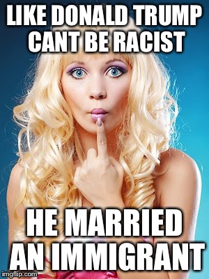 Breaking (Fox) News  | LIKE DONALD TRUMP CANT BE RACIST; HE MARRIED AN IMMIGRANT | image tagged in dumb blonde,donald trump,memes | made w/ Imgflip meme maker