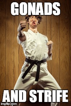 Karate Kyle | GONADS; AND STRIFE | image tagged in karate kyle | made w/ Imgflip meme maker