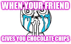 Crying Because Of Cute Meme | WHEN YOUR FRIEND; GIVES YOU CHOCOLATE CHIPS | image tagged in memes,crying because of cute | made w/ Imgflip meme maker