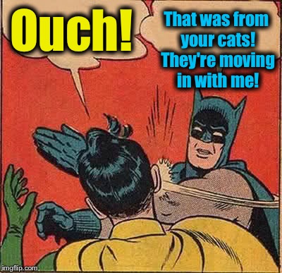 Batman Slapping Robin Meme | Ouch! That was from your cats! They're moving in with me! | image tagged in memes,batman slapping robin | made w/ Imgflip meme maker