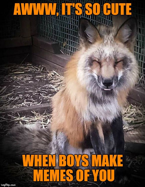 AWWW, IT'S SO CUTE WHEN BOYS MAKE MEMES OF YOU | image tagged in awww | made w/ Imgflip meme maker