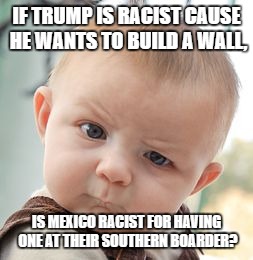 Skeptical Baby Meme | IF TRUMP IS RACIST CAUSE HE WANTS TO BUILD A WALL, IS MEXICO RACIST FOR HAVING ONE AT THEIR SOUTHERN BOARDER? | image tagged in memes,skeptical baby | made w/ Imgflip meme maker