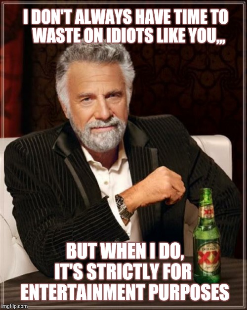 The Most Interesting Man In The World Meme | I DON'T ALWAYS HAVE TIME TO            WASTE ON IDIOTS LIKE YOU,,, BUT WHEN I DO,      
 IT'S STRICTLY FOR         ENTERTAINMENT PURPOSES | image tagged in memes,the most interesting man in the world | made w/ Imgflip meme maker
